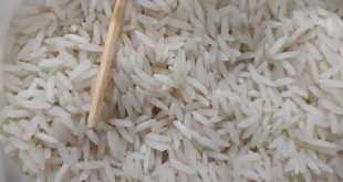 برنج حسن سرایی